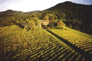 Weingut Nägelsförst